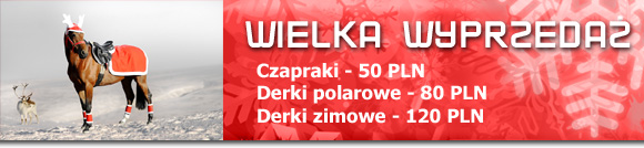 WIELKA wyprzeda� !!!