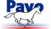 Pavo