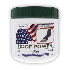 AAA EQUINE AMERICA Hoof Power Plus - suplement wzmacniający końskie kopyta 454 g